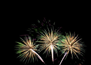 Read more about the article Keep your cat calm during bonfire night fireworks