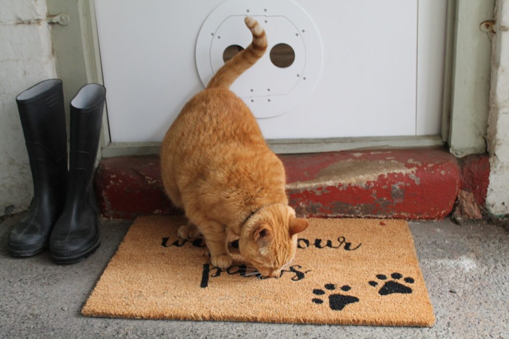 A draughtproof catflap