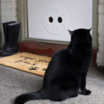 draughtproof pet door