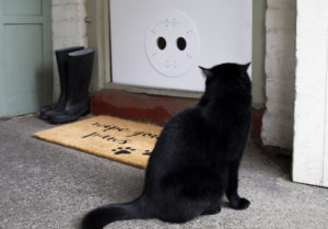 draughtproof pet door